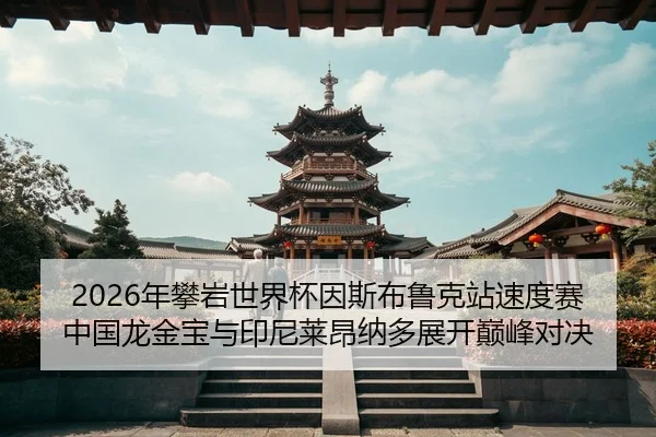 2026年攀岩世界杯因斯布鲁克站速度赛 中国龙金宝与印尼莱昂纳多展开巅峰对决