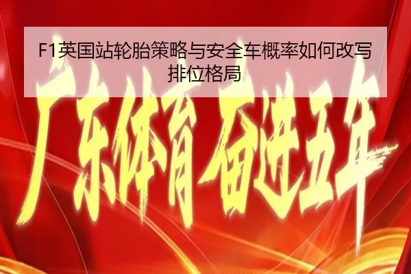 ying-guo-zhan-lun-tai-ce-lve-yu-an-quan-che-gai-lv-ru-he-gai-xie-pai-wei-ge-ju-2-189.jpg